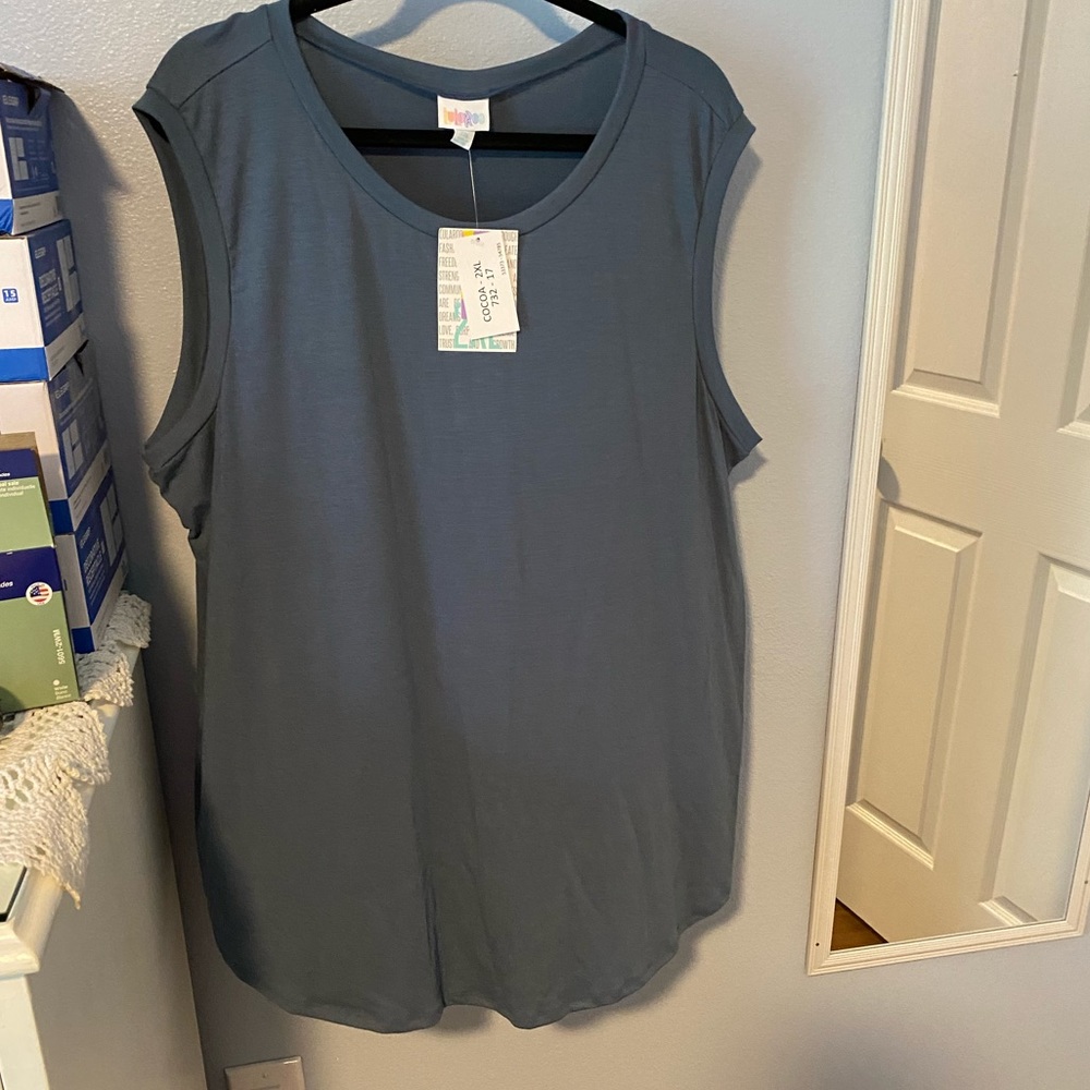 Brand New 2XL Cocoa by LulaRoe